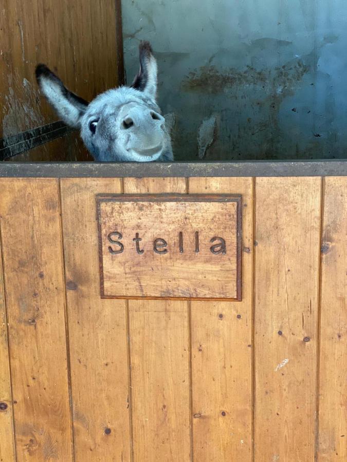 Agriturismo Da Baffone Santo Stefano del Sole Eksteriør billede