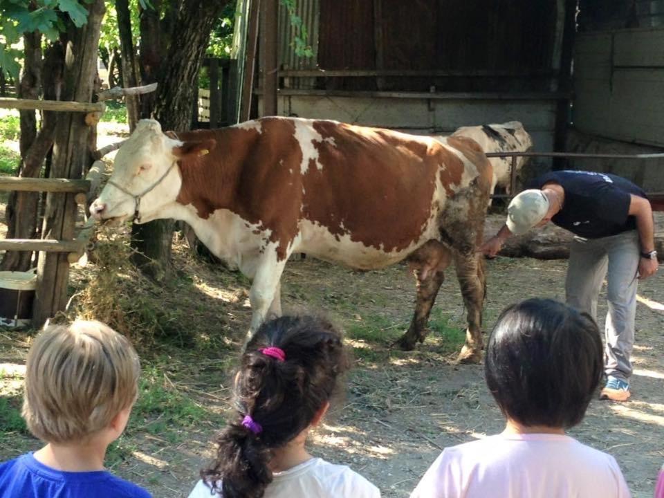 Agriturismo Da Baffone Santo Stefano del Sole Eksteriør billede
